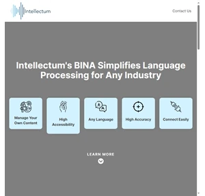 intellectum bina nlu engine