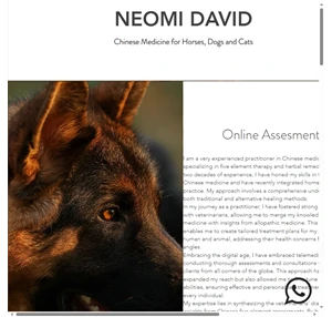 neomi david chinese medicine for horses dogs cats