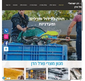 מכירת דגים פורל הדן - דג ישראלי מנחל הדן