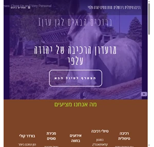 רכיבה טיפולית בירושלים חוות סוסים יהודה עלפי רכיבה טיפולית בירושלים חוות סוסים סוסים למכירה