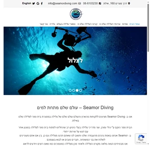 seamor diving בית ספר לצלילה באילת צלילה באילת גסט האוס באילת