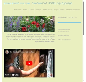 הוטל חתול פנסיון ביתי לחתולים מפונקים cat hotel 054.6300298 a cat hotel