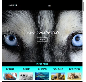 אנימל אינפו הוא אתר המידע הגדול בישראל על חיות - אנימל אינפו