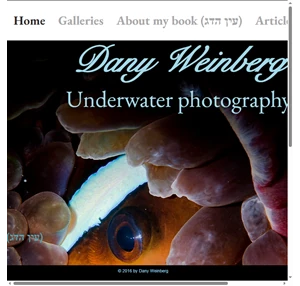 Freelance photographer Dany-Weinberg underwater photography
