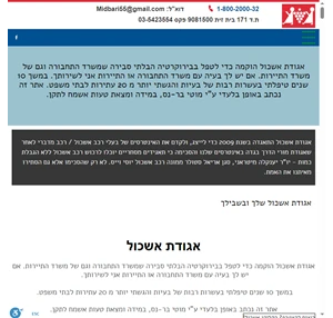 אגודת אשכול לבעלי רכב אשכול ורכב מדברי פרטי בישראל
