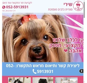 מספרת כלבים - ספרית כלבים בצפון חיפה הקריות נשר