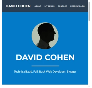 david cohen - full stack web developer