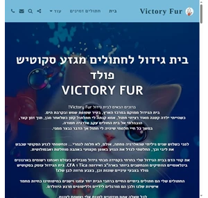 victory fur - בית גידול לחתולים מגזע סקוטיש פולדvictory fur