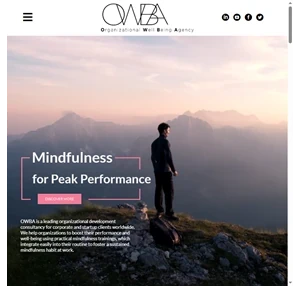 mindfulness training for peak performance owba by dana zelicha