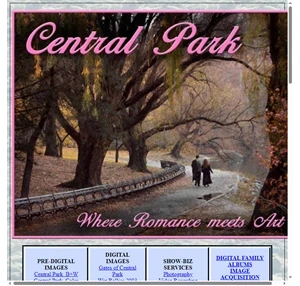 Central Park by Joe Bly