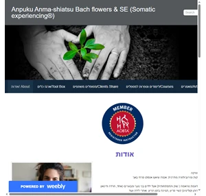 Anpuku Anma-shiatsu Bach flowers SE (Somatic experiencing ) - אודות About