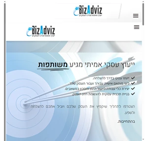 bizadviz - ייעוץ ואסטרטגיה לעסקים - ייעוץ עסקי קורס ת