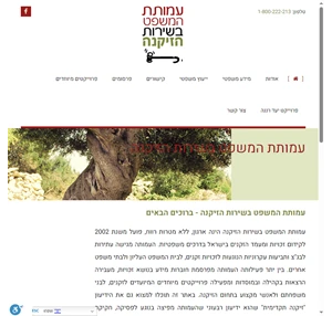 עמותת המשפט בשירות הזיקנה - ייעוץ משפטי מידע משפטי זכויות זקנים בישראל