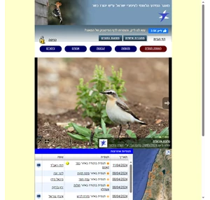 birdsbase.com