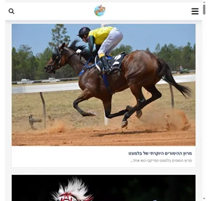 ידע והימורים במירוצי סוסים - horseracing.co.il