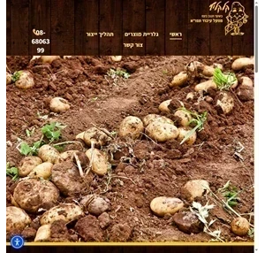 קלקליף שער הנגב ירקות קלופים עיבוד ירקות עיבוד תפוחי אדמה