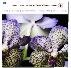 אגודת הסחלבים israeli orchid society
