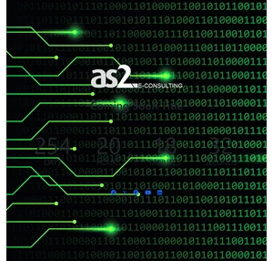 as2 e-consulting אי אס 2 יעוץ והקמת אתרי אינטרנט