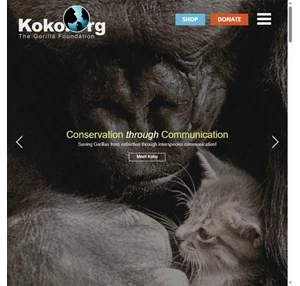 The Gorilla Foundation Conservation Through Communication