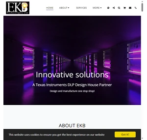 EKB Technologies Ltd Texas Instruments Design house partner.