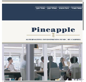 קרן השקעות אלטרנטיביות pineapple fund תל אביב
