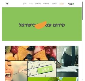 צבר - אתרים של עסקים ישראלים - אתרי קניות - אתרי תדמית