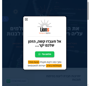 lions - חברת פיתוח תוכנה מובילה - lions center