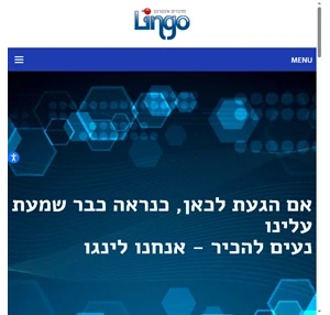 לינגו אתרים ומולטימדיה LINGO LTD בניית אתרים איכותיים ונגישים