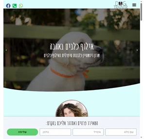 אילוף כלבים באהבה מאלף כלבים מקצועי ברגש ומחיר מצוין בתל אביב והמרכז