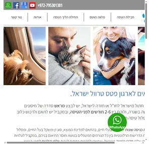הטסת בעלי חיים הטסת כלבים וחתולים Pets Travel Israel