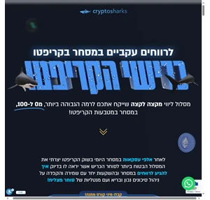 כרישי הקריפטו - קורס קריפטו המקיף ביותר בישראל