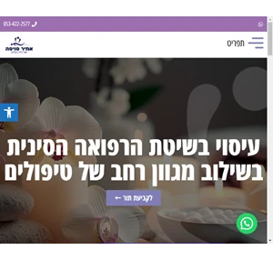אמיר סויסה - אנרגיה במגע