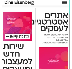 Dina Eisenberg - חנויות אינטרנטיות ואתרים אסטרטגיים לעסקים