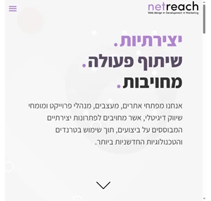 Netreach - פיתוח עיצוב וקידום אתרים רק אצל נטריץ