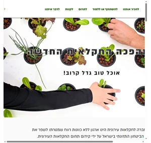 חקלאות אורבנית החברה לחקלאות עירונית Tel Aviv-Yafo