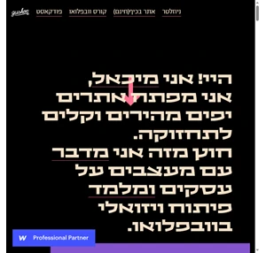 michael schwartz - webflow in israel