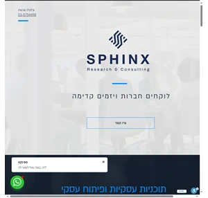 ספינקס - מחקרי שווקים ותוכניות עסקיות sphinx research consulting