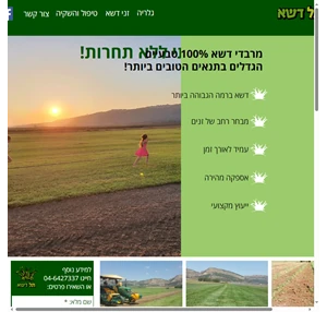 tel adashim תל דשא - דשא מוכן ברמה הגבוהה ביותר