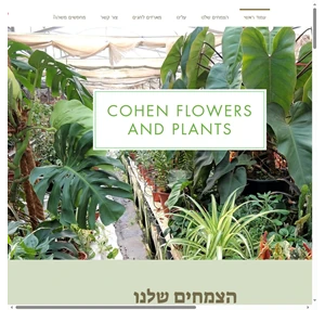 צמחים ופרחים לבית ולגינה cohenflowers plants כפר ידידיה