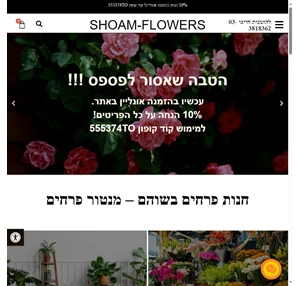 פרחים בשוהם עם שירות משלוחי פרחים בשוהם והסביבה מנטור פרחים