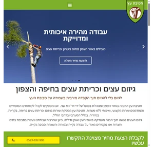 חטיבת עץ גיזום וכריתת עצים בחיפה והצפון